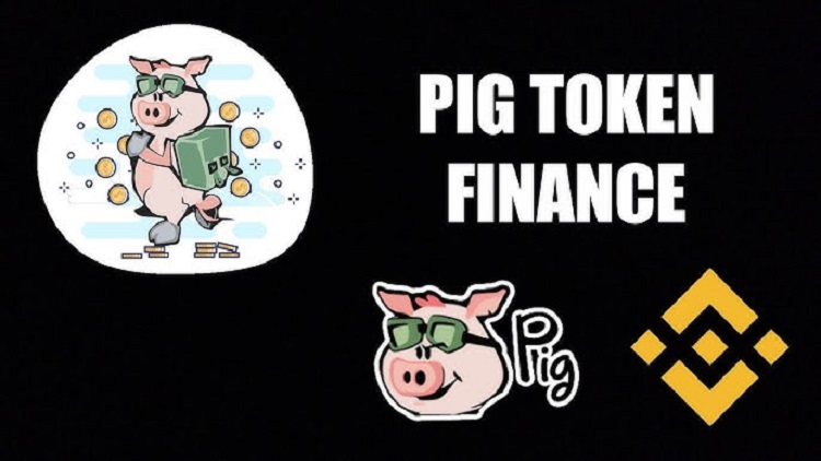  Pig  Token Smart Contract Audit