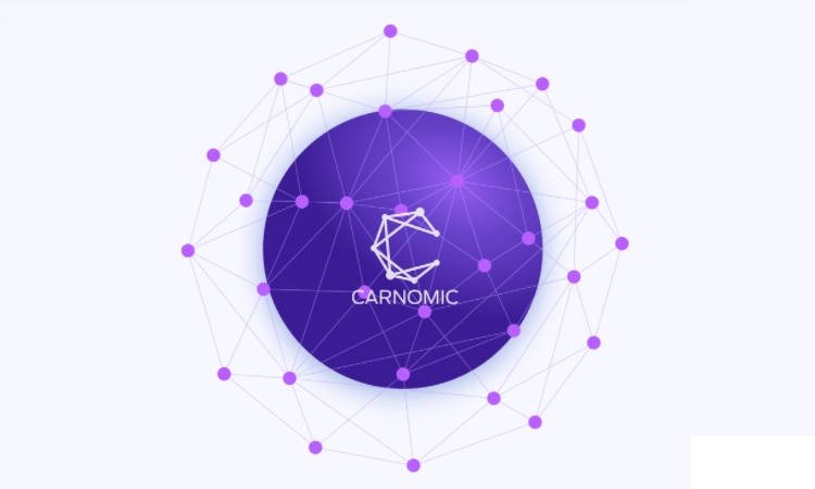  CarNomic Token Smart Contract Audit