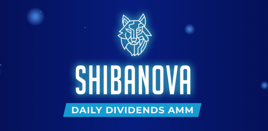 ShibaNova Smart Contracts Audit