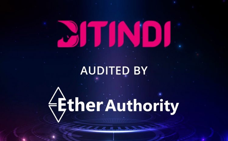  Bitindi Chain Smart Contract Audit